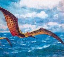 pteranodon.jpg