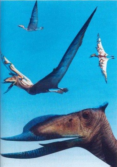pteroszaurusz.jpg